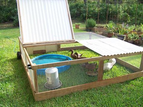 DIY duck home | They sleep in a pen inside the chicken run at night. My Guineas roost ... Duck Pen, Duck Home, Duck Pens, Cheap Chicken Coops, Backyard Ducks, Duck Coop, Raising Ducks, Portable Chicken Coop, Chicken Pen