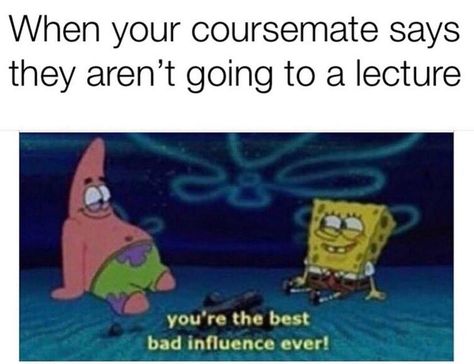 University Memes Hilarious, Economics Memes Hilarious, Uni Memes Student, University Memes, Study Memes, Copy Writer, Business Student, Studying Memes, Motivational Memes