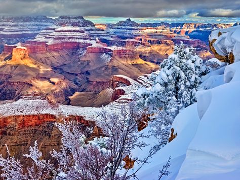 The Grand Canyon's south rim after a winter storm. Grand Canyon Snow, Grand Canyon Winter, Zion Mountain Ranch, Visiting The Grand Canyon, Grand Canyon South Rim, Grand Canyon Arizona, Vacation Usa, Grand Canyon National Park, The Grand Canyon