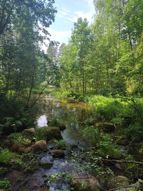 Finland Aesthetic, Green Rocks, Finland Nature, Dnd Druid, Forest Aesthetic, River Forest, Dream Barn, Fantasy Forest, Nature Tree