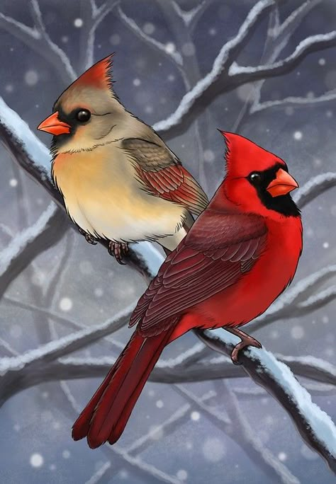 "Winter Cardinals" Greeting Cards by Roxanne Gasperetti | Redbubble Cardinal Birds Art, Winter Cardinals, Bird Painting Acrylic, Cardinal Painting, Winter Cardinal, Christmas Paintings On Canvas, Winter Painting, Bird Painting, Cardinal Birds