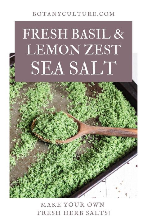 Basil Salt Recipe Easy, Infused Sea Salt Recipes, Basil Salt Uses, Herbal Salt Recipes, Basil Sea Salt, Tomato Salt Recipe, Herb Salts Diy, Pickle Salt Recipe, Flaky Salt Recipes