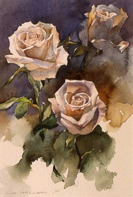 Pink Rose, Watercolor Painting, Roses, Flowers, Pink, White, Watercolour Painting