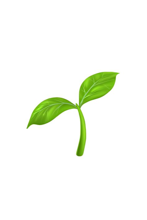 Laptops Wallpapers, Grape Emoji, Plant Icons, Green Emoji, Emojis Iphone, Apple Emojis, Plant Symbol, Emoji Png, Emoji Iphone