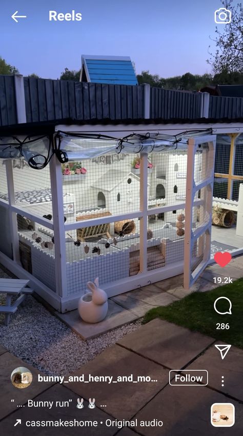 Boho Bunny Enclosure, Outside Bunny Cages, Bunny Incloser, Rabbit Home Outdoor, Diy Rabbit Shed, Bunny Sheds Outdoor, Cute Rabbit Cage Ideas, Bunny Shed Ideas, Bunny Outdoor Enclosure