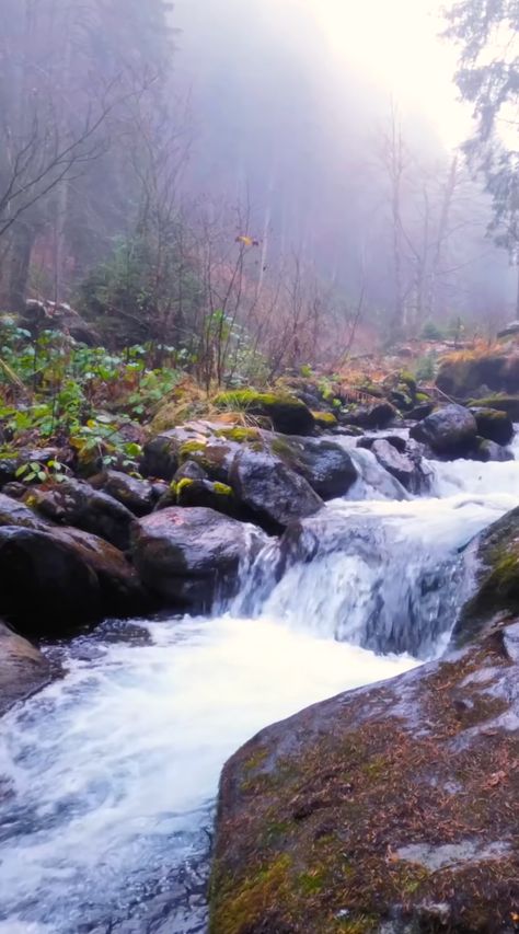 Enjoy this relaxing nature 4K video with the sounds of cold water gently flowing over rocks on a misty day. 👍 Like, comment and subscribe for more high-quality sound nature videos. Thank you! Relaxing Nature, Nature Videos, Like Comment And Subscribe, Nature Sounds, 4k Video, Nature Gif, Subscribe For More, Water Flow, Hiking Trip