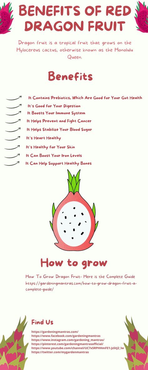 Red Dragon Fruit Benefits, Dragon Fruit Skin Uses, Health Benefits Of Dragon Fruit, Dragonfruit Benefits Health, Dragon Fruit Growing Tips, How To Grow A Dragon Fruit Plant, Benefits Of Yellow Dragon Fruit, Yellow Dragon Fruit Benefits, Dragon Fruit Benefits For Skin