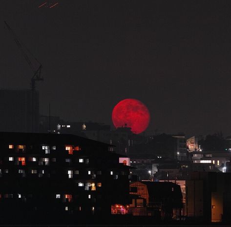 Tzimisce Aesthetic, City At Night, Dark Paradise, Red Moon, Night Vibes, Cinematic Photography, Night Aesthetic, Aesthetic Images, Red Aesthetic