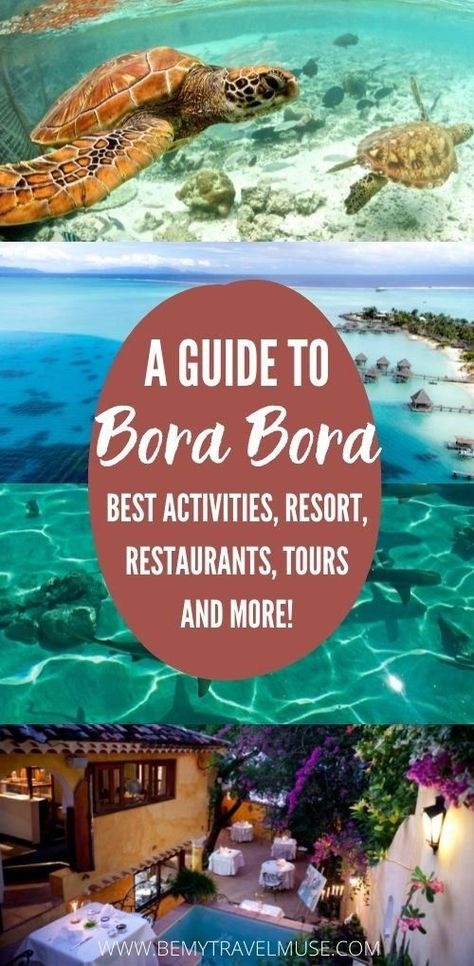 A complete guide to Bora Bora, with all of the best things to do, and a list of the best restaurants as well as tours you must take to make the most of your trip! #BoraBora French Polynesia Honeymoon, Virgin Cruises, Bora Bora Vacation, Trip To Bora Bora, Bora Bora Island, Amazing Waterfall, Tahiti Travel, Bora Bora Honeymoon, Relaxing Nature