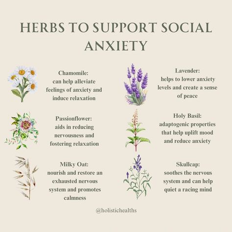 Calming Herbs, Herbal Education, Medical Herbs, Holistic Health Remedies, Magic Herbs, Natural Healing Remedies, Herbal Healing, Herbal Magic, Herbs For Health