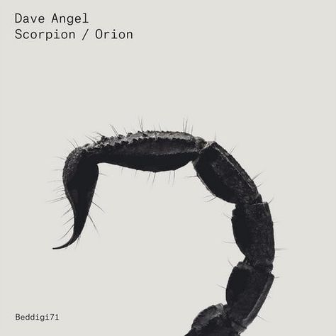 Dave Angel - Scorpion / Orion (File, MP3) at Discogs The Scorpions, Skateboard Photography, Trance Music, Scorpion, Okay Gesture, Poster Design, Angel, Graphic Design, Movie Posters