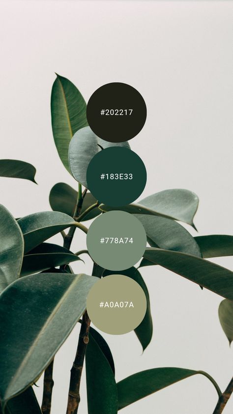 Green Decor Palette, Office Forest Green, Emerald Green Colour Pallet, Color Schemes With Emerald Green, Green Color Swatches Colour Palettes, Colour Palette With Dark Green, Forest Green Website Design, Emerald Branding Color Palette, Green Emerald Color Palette