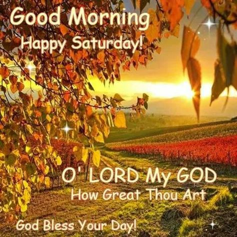 Satuday Happy Saturday Pictures, Happy Saturday Quotes, Saturday Pictures, Happy Saturday Images, Saturday Greetings, Saturday Blessings, Saturday Images, Quotes Whatsapp, Good Morning Happy Saturday