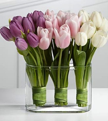 Tulip Wedding, Tulips Arrangement, Spring Flower Arrangements, Deco Floral, Garden Care, Tulips Flowers, Arte Floral, Latte Art, Ikebana