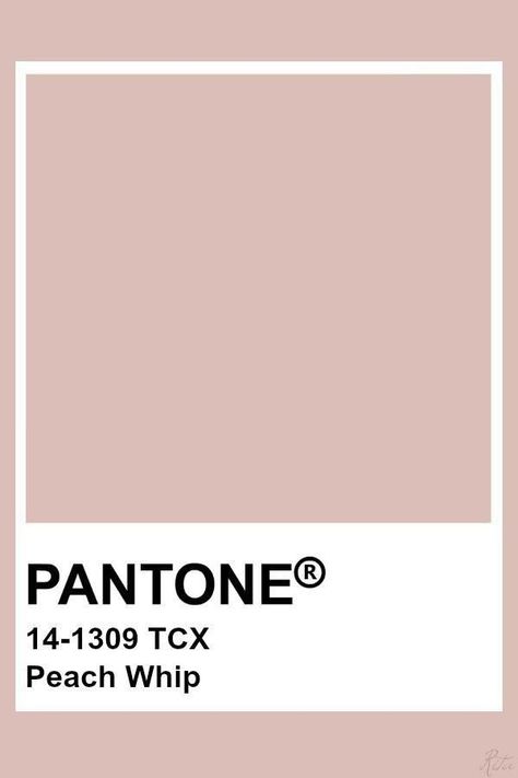 Dark Interior House, Pantone Tcx, Pantone Color Chart, Pantone Swatches, Pantone Palette, Pantone Colour Palettes, 카드 디자인, Peach Blush, Color Inspo