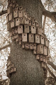 Birdhouse artwork called "Control Tower" by artist Cameron Hockenson. montalvoarts.org/sculpture/ control_tower/ Villa Montalvo, Saratoga, CA Decorative Bird Houses, Bird Houses Diy, Bird Boxes, How To Attract Birds, Land Art, Outdoor Projects, Birdhouse, Garden Paths, Dream Garden