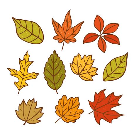 Autumn Leaves Art Drawing, Fall Leaves Simple Drawing, Autumn Leaf Clipart, Autumn Leaf Doodle, Fall Leaf Drawing Simple, Fall Advertising Ideas, Cartoon Leaf Drawing, Fall Leaves Clip Art, Easy Fall Leaf Drawing