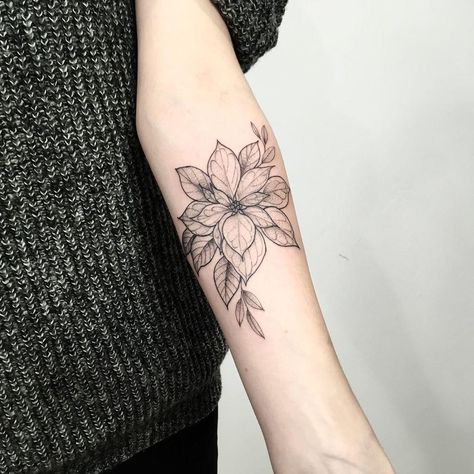 Poinsettia Tattoo, White Flower Tattoos, Black And White Flower Tattoo, Hibiscus Flower Tattoos, Carnation Tattoo, Tattoo Black And White, Forearm Flower Tattoo, Lily Flower Tattoos, Rose Flower Tattoos