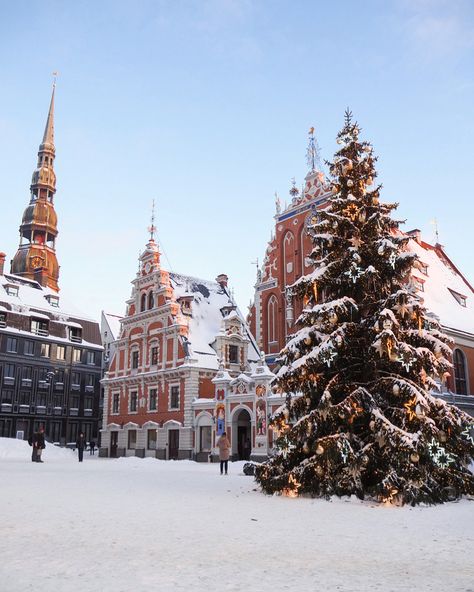 Riga Latvia Christmas, Riga Latvia Winter, Latvia Wallpaper, Riga Latvia Aesthetic, Calming Architecture, Riga Winter, Latvian Aesthetic, Riga Christmas, Baltic Aesthetic