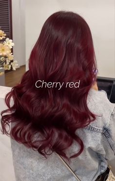 Cherry Red Dyed Hair, Dark Red Hair With Blue Eyes, Dark Red Velvet Hair, Cherry Red Hair Ideas, Red Gloss Hair, Dark Vibrant Red Hair, Cold Red Hair Color, Red Bolyoge, Light Cherry Red Hair