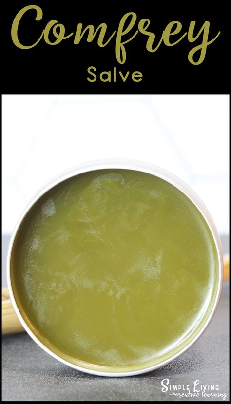 Comphrey Salve Recipes, Arnica Comfrey Salve, Comfrey Salve Recipe, Rosemary Salve, Comfrey Poultice, Apothecary Recipes, Bumblebee Apothecary, Herbal Salve Recipes, Comfrey Plant