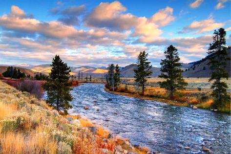 1. You'll never find scenery as good as this. Ruins, Fall Foliage Road Trips, Idaho Vacation, Dream Water, Visit Idaho, Idaho Travel, Ponderosa Pine, Utah Hikes, Scenic Roads