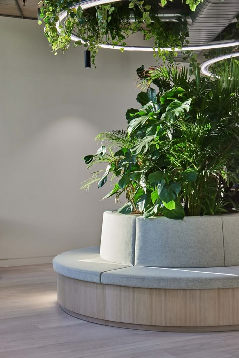 Conference Table With Plants, Office Reception Plants Ideas, Small Lobby Design, Biophilic Hospital Design, Green Meeting Room Design, Biophilic Design Interiors, Biophilia Design, Biophilic Office Design, Biophilic Coworking Space