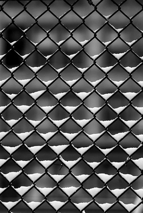 Principle: Pattern This photo uses the pattern of the chain fence across the whole photo. Foto Macro, Pattern Photography, Elements And Principles, Texture Photography, Foto Tips, Principles Of Design, Foto Art, Jolie Photo, Black White Photos