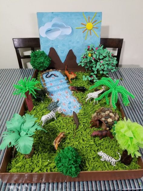 Rainforest Preschool Forest Ecosystem Diorama, Science Habitat Project, Grassland Biome Shoebox Project, 3d Ecosystem Project, Grassland Ecosystem Project, Dinosaur Habitat Diy, Rainforest Crafts For Kids Art Projects, Grassland Biome Project, Forest Habitat Project