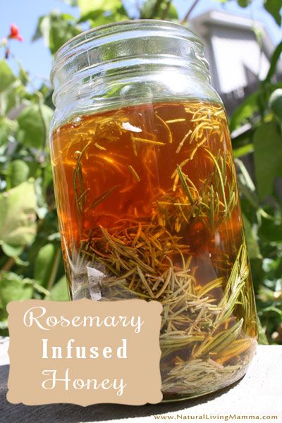 Rosemary Infused Honey Recipe // deliciousobsessions.com #herbs #rosemary #honey Herbal Infused Honey, Herb Infused Honey, Rosemary Honey, Herbal Medicine Cabinet, Infused Honey, Honey Candy, Honey Scent, Nature Food, Rosemary Leaves