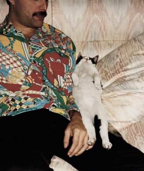 Freddie Mercury And Delilah, Pink Espadrilles, Queen E, Ben Hardy, Cute Instagram, Queen Photos, Roger Taylor, Queen Freddie Mercury, Little Cat