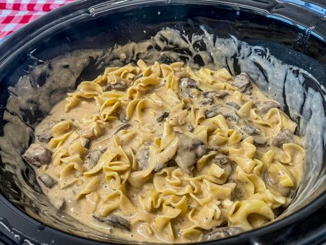 Slow Cooker Venison Stroganoff Venison And Noodles Crock Pot, Deer Slow Cooker Recipes, Slow Cooker Venison Stroganoff, Crockpot Venison Chops, Venison Shank Slow Cooker, Venison Stroganoff Crockpot, Deer Stroganoff Recipe, Venison Chops Recipes Crockpot, Crock Pot Venison Recipes