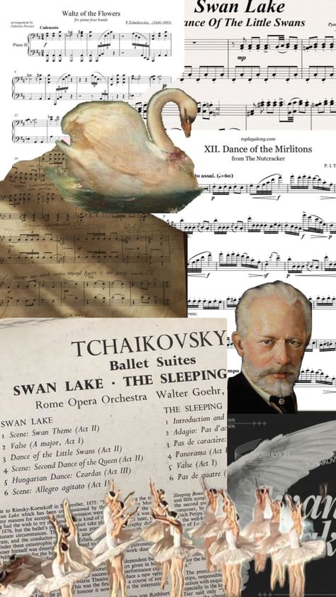 #Tchaikovsky #ballet #music #balletdancer Ballet Wallpaper, Ballet Music, Classical Music Composers, Piano Art, Band Director, Classical Musicians, Russian Ballet, Music Collage, Animal Study