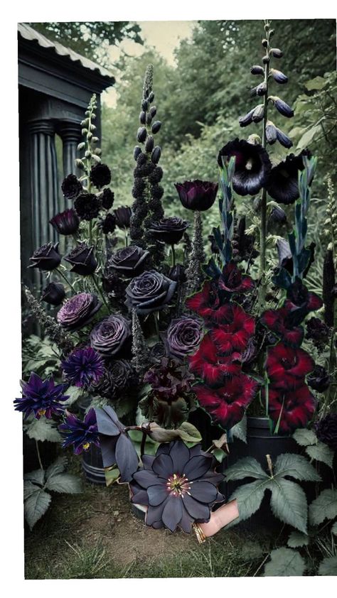 Black Flowers Garden, Goth Garden Aesthetic, Goth Garden Ideas, Gothic Garden Aesthetic, Gothic Garden Ideas, Black Garden Ideas, Witchy Flowers, Witchy Backyard, Gothic Greenhouse