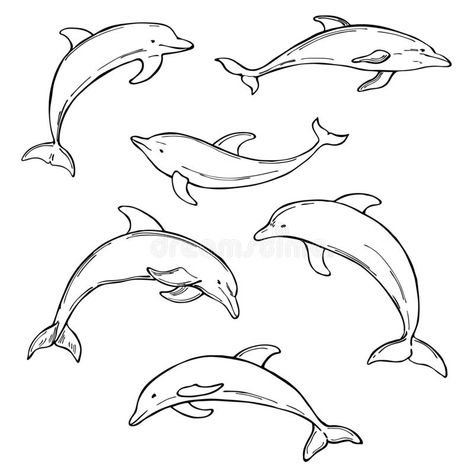 Dolphin Sketch Easy, Dolphin Swimming Drawing, Dolphin Sketch Tattoo, Dolphin Drawing Reference, Vintage Dolphin Illustration, Cute Drawings White Background, Drawings Of Ocean Animals, Dolphin Aesthetic Drawing, Dolphin Line Drawing