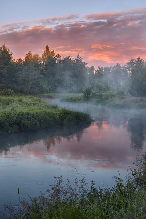 Vermont Forest, Pretty Landscapes, Free Camping, Camping Spots, Winter Camping, In The Car, Outdoor Life, Sleeping Bag, Nature Photos