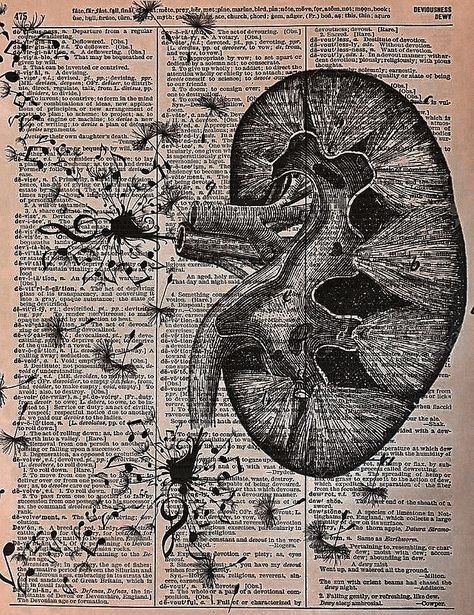 Anatomy Books Aesthetic, Dark Academia Grunge Aesthetic, Dark Academia Grunge, Biology Art, Desk Inspo, Aesthetic Medicine, Bedroom Photos, Gcse Art, Paper Wallpaper