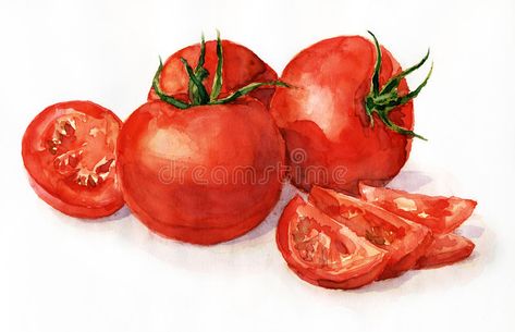 Watercolor tomatoes. Watercolor painting, still life, tomatoes on a light backgr , #Ad, #painting, #tomatoes, #Watercolor, #background, #light #ad Watercolor Tomatoes, Vegetable Painting, Vegetable Prints, Watercolor Food, Watercolor Fruit, Food Painting, Fruit Painting, Red Decor, Watercolor Images