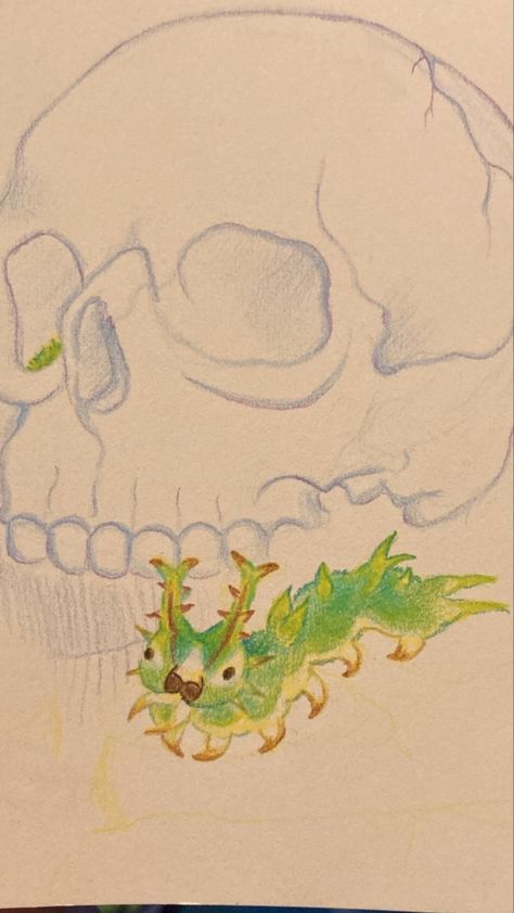 Rough Sketch of Japanese Emperor Caterpillar next to skull Caterpillar Doodle, Japanese Emperor Caterpillar, Emperor Caterpillar, Caterpillar Drawing, Japanese Emperor, Cute Sketches, Drawing Inspo, Lil Baby, Caterpillar