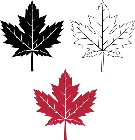 maple leaf icon on white background. red maple leaf sign. canada maple leaf outline symbol. flat style. Canada Maple Leaf Tattoo, Maple Leaf Tattoo Design, Canada Symbols, Maple Leaf Outline, Maple Leaf Vector, Adobe Hacks, Maple Leaf Tattoos, Minnesota Tattoo, Canada Leaf