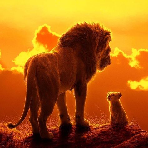 Mufasa and Little Simba in Disney’s The Lion King 2019 Lion King Remake, Roi Lion Simba, Watch The Lion King, Lion King Poster, Circus Characters, Lion King Movie, Animation Disney, Jon Favreau, Il Re Leone