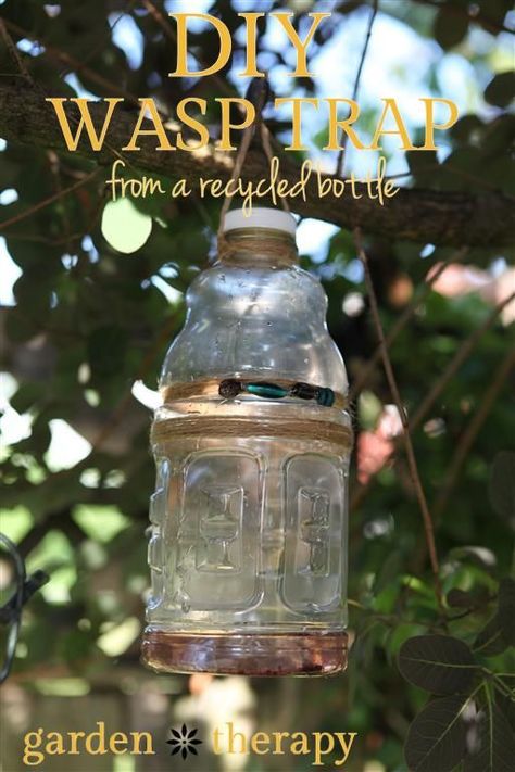 Yellow Jacket Trap, Wasp Trap, Wasp Traps, Bee Traps, Garden Simple, Garden Therapy, Bees And Wasps, Natural Pest Control, Recycled Bottle