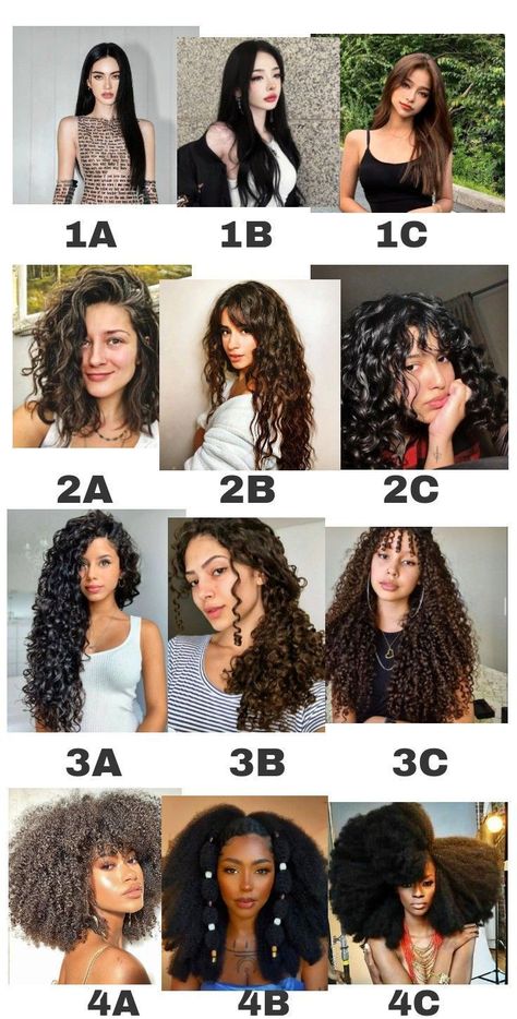 Hairstyles That Replicate Your Inside Power and Magnificence Check more at https://howcandothis.com/hairstyleideas/hairstyles-that-replicate-your-inside-power-and-magnificence/ Hair Type Chart, Curly Hair Care Routine, Curly Hair Types, Hairdos For Curly Hair, Curly Hair Inspiration, Curly Hair With Bangs, Types Of Curls, Curly Hair Men, Curly Hair Care