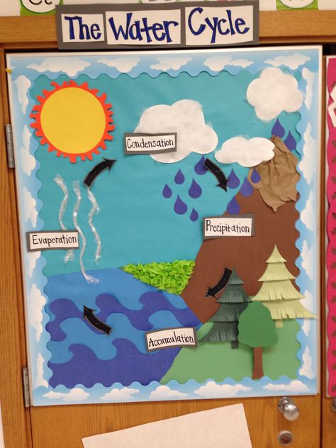 Water cycle bulletin board- student teaching 101 Water Cycle Craft, Water Cycle Model, Water Cycle Poster, Water Cycle Project, Water Cycle Activities, The Water Cycle, 4th Grade Science, Water Projects, Fair Projects