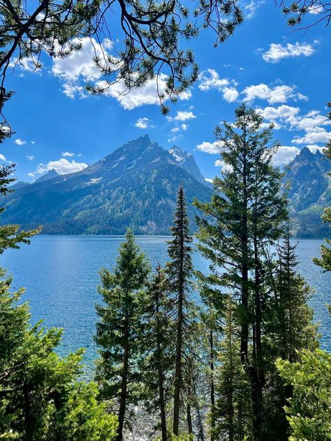 Jackson Hole, WY and Grand Teton National Park 📷: Cindi Parisi Thompson Jackson Hole, Rocky Mountains, National Parks