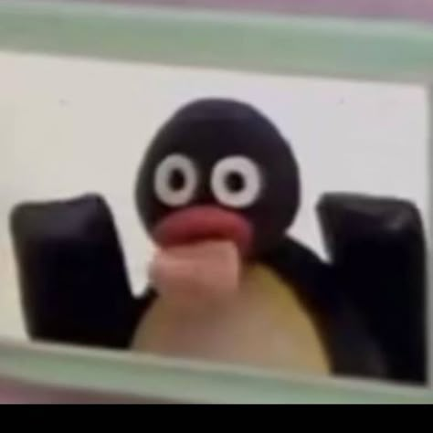 Pingu Reaction Pics, Gym Pfp Aesthetic, Pingu Pfp, Pingu Icons, Funny Pingu, Pfp Aesthetic Funny, Gym Pfp, Pingu Mood, Pingu Memes