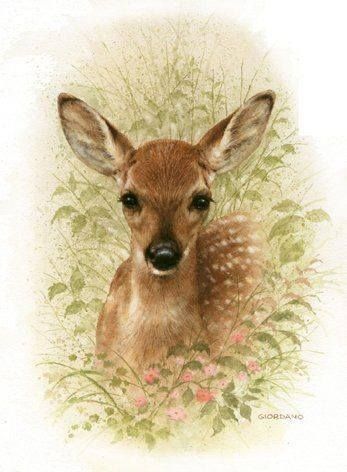 Baby deer nursery