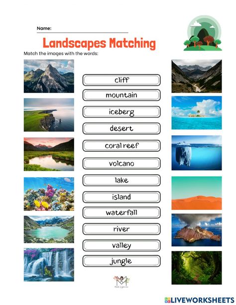 Natural Or Man Made Worksheet, Environment Worksheets For Kids, Natural And Man Made Materials Worksheet, Our Environment Worksheet, Ecosystem Worksheets, Advance English, Earth Science Lessons, Living Skills, Amazing Landscapes