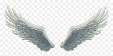 Angel Wings Png For Editing, Danish Zehen Photo, Angel Wings Images, Background Hd Png, Angel Wings Png, Heart With Wings Tattoo, Futuristic Typography, Angel Wings Drawing, Angel Wings Illustration