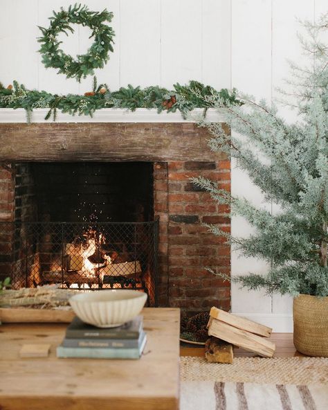 Jenni Kayne | Apparel & Home on Instagram: “We're never leaving this fireside nook #jennikayne” Jenni Kayne Christmas, Nicki Sebastian, Christmas Color Palette, Norfolk Pine, Decor Color Palette, Farmhouse Christmas Tree, Pine Garland, Winter Woodland, Greenery Garland